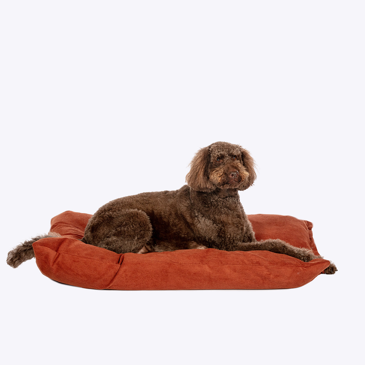 Rust Elden Deep Duvet Dog Bed | Luxury Washable Cord Dog Bed
