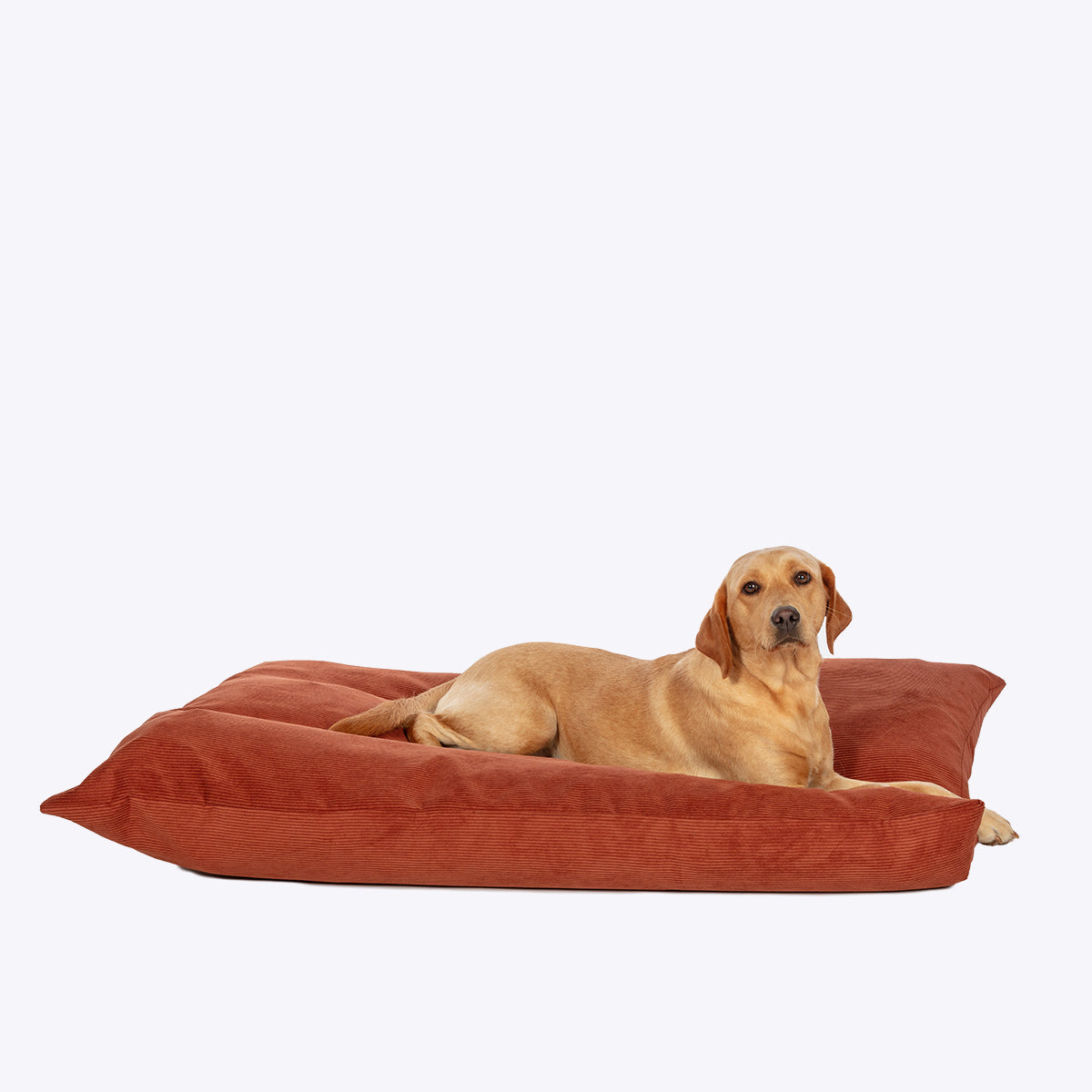 Elden Deep Duvet Dog Bed Rust