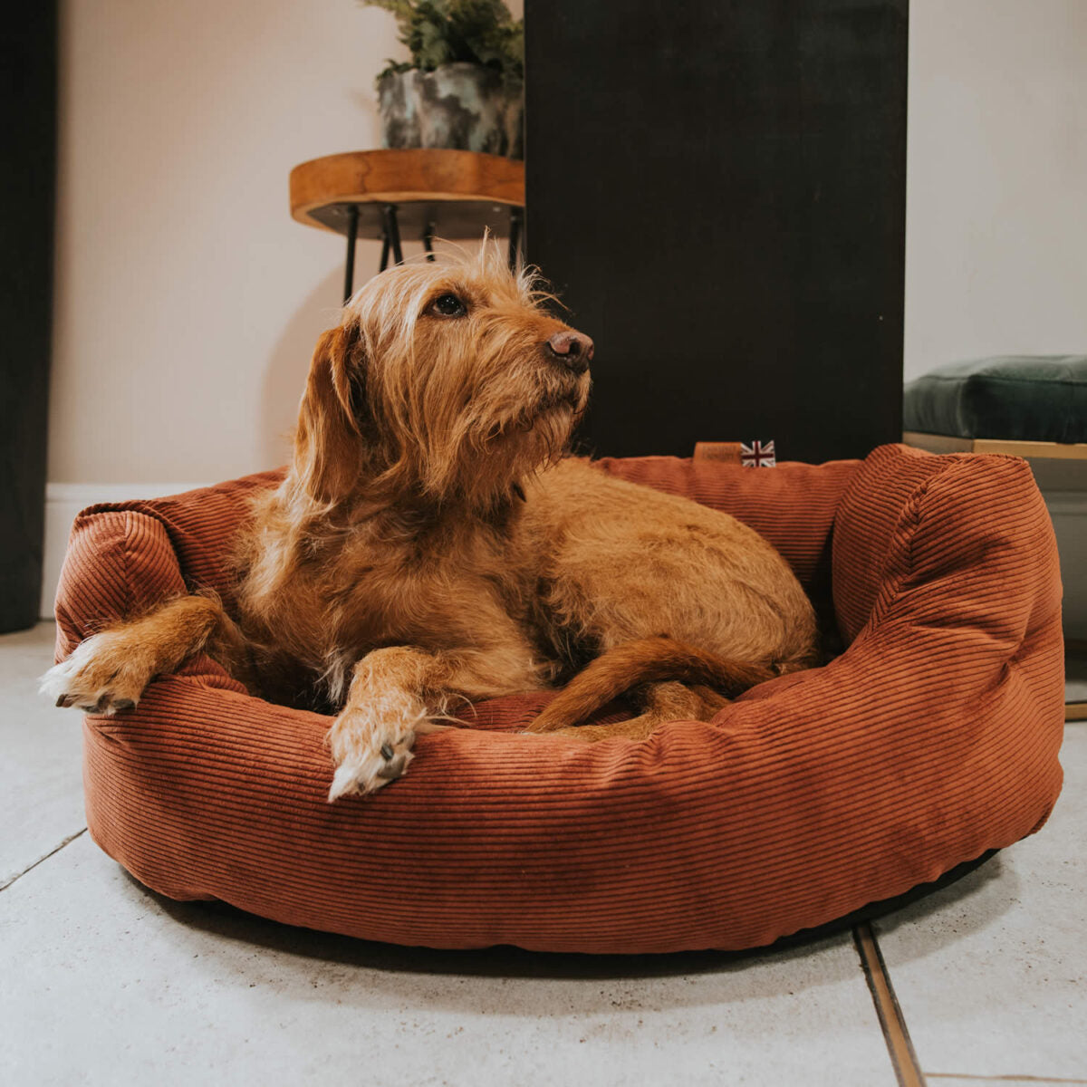 Elden Deluxe Slumber Dog Bed – Luxury Cord Bolster Bed in Rust 