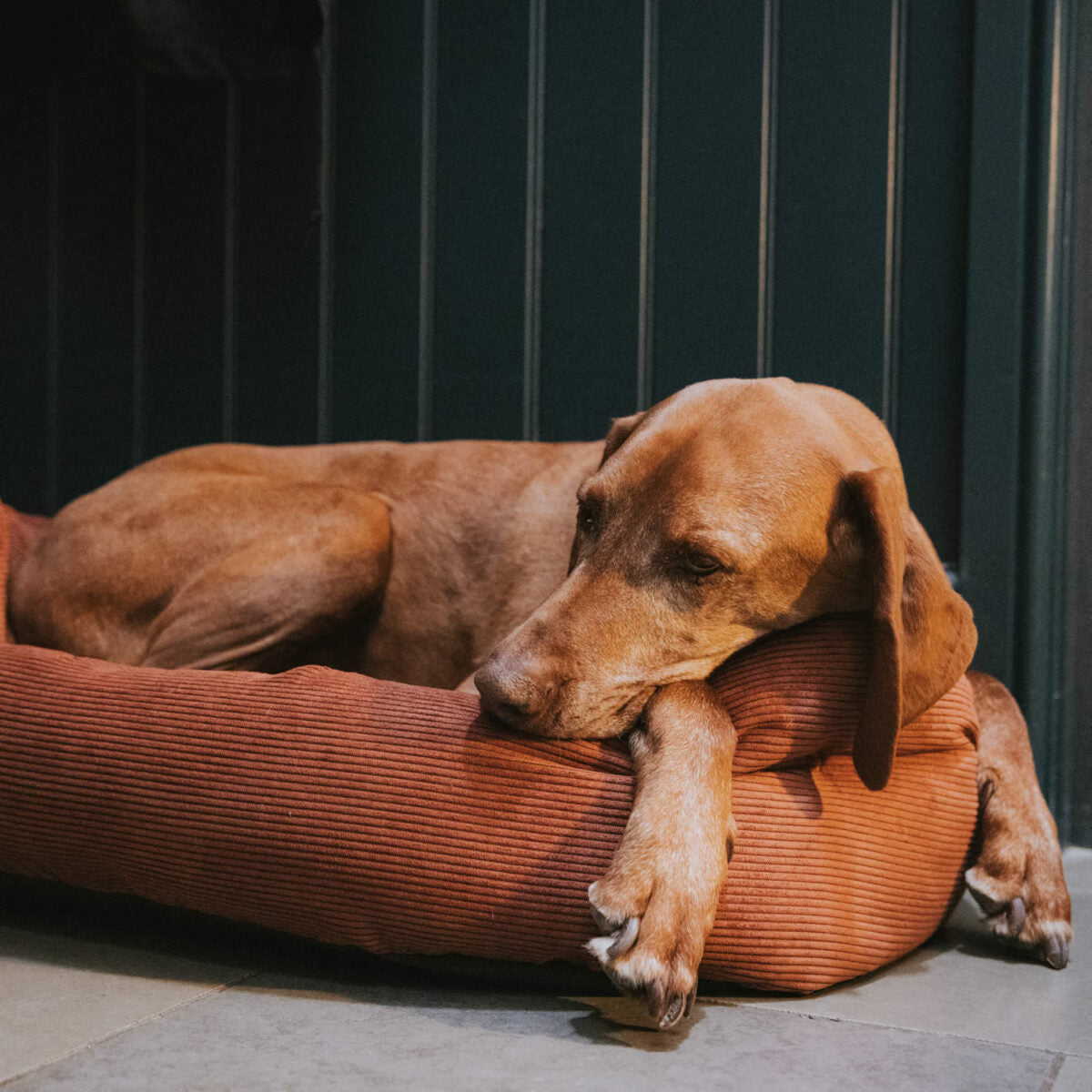 Rust Luxury Cord Bolster Bed - Machine Washanble