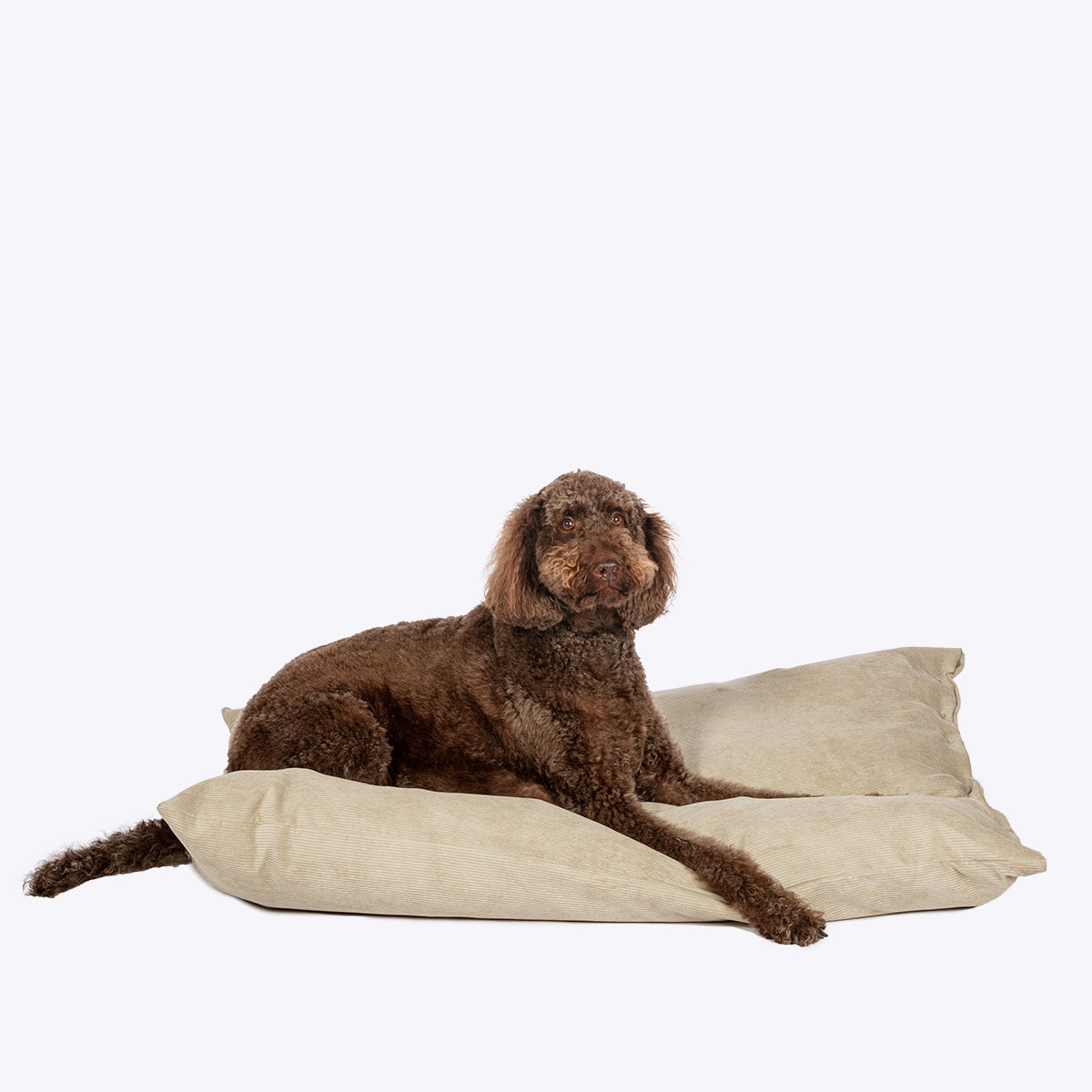Stone Elden Deep Duvet Dog Bed | Luxury Washable Cord Dog Bed
