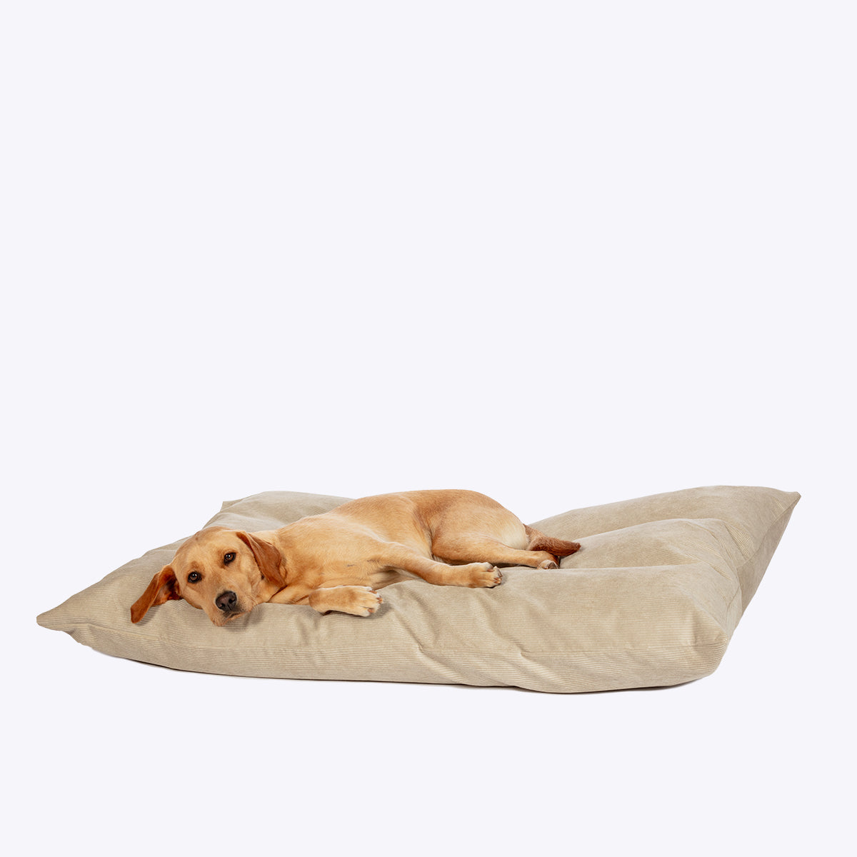 Elden Deep Duvet Dog Bed Stone