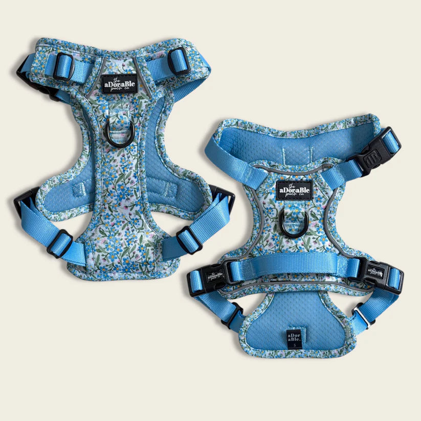 aDoraBle Pooch flourishing forget-me-nots hike and go lite dog harness