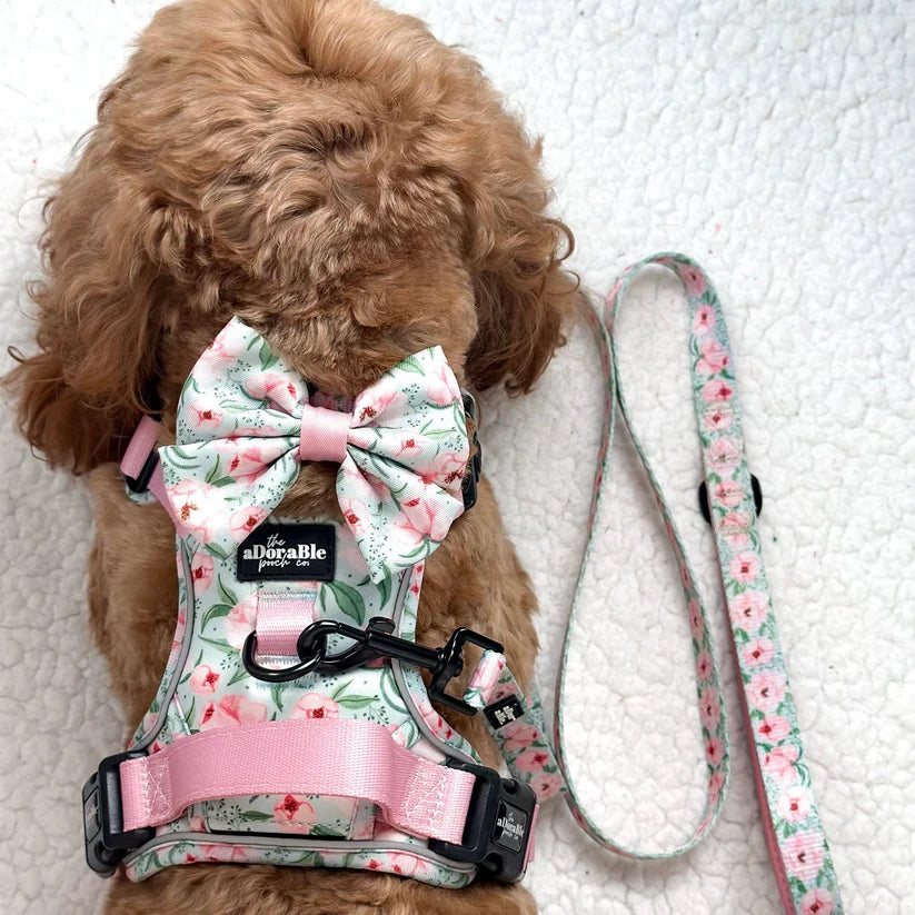 Peony Petals Dog Harness with Matching Sailor Bow and Lead