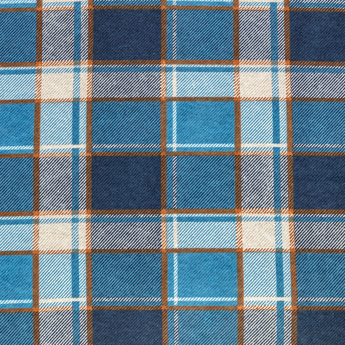 FatFace Blue Check Fabric