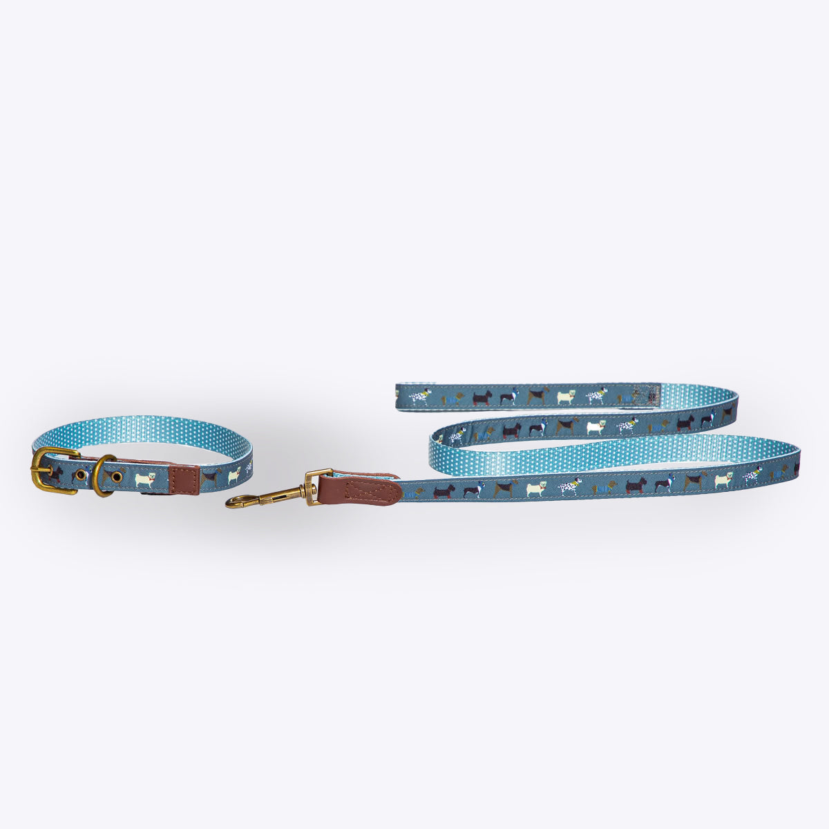 Fatface marching dog collar and lead