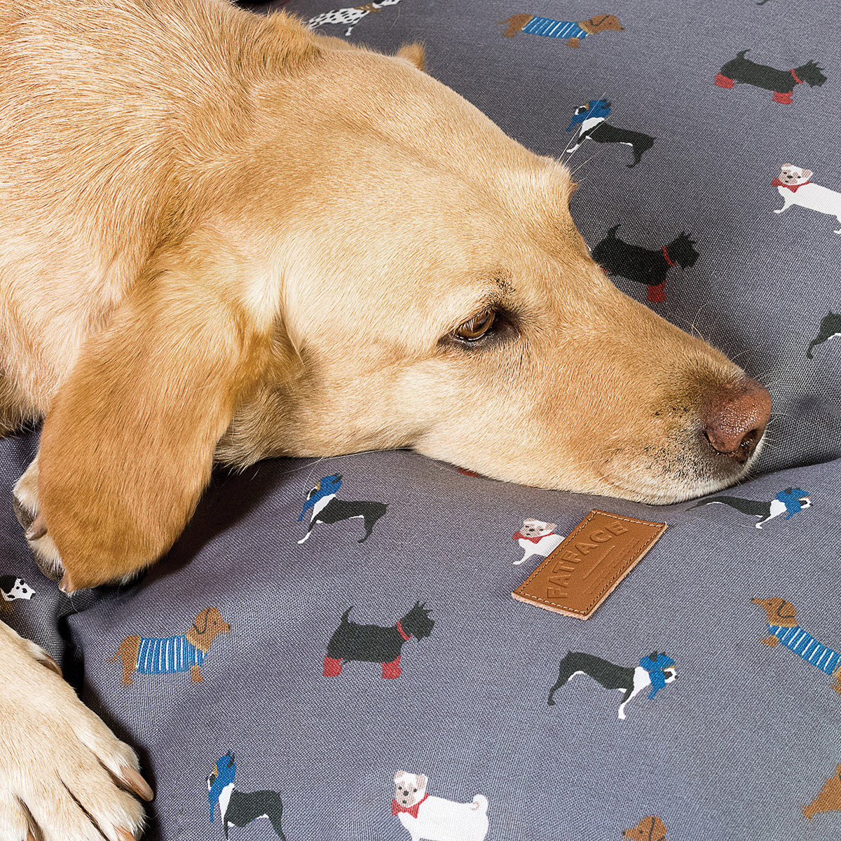 FatFace Marching Dogs Deep Dog Duvet Luxury Pet Bed