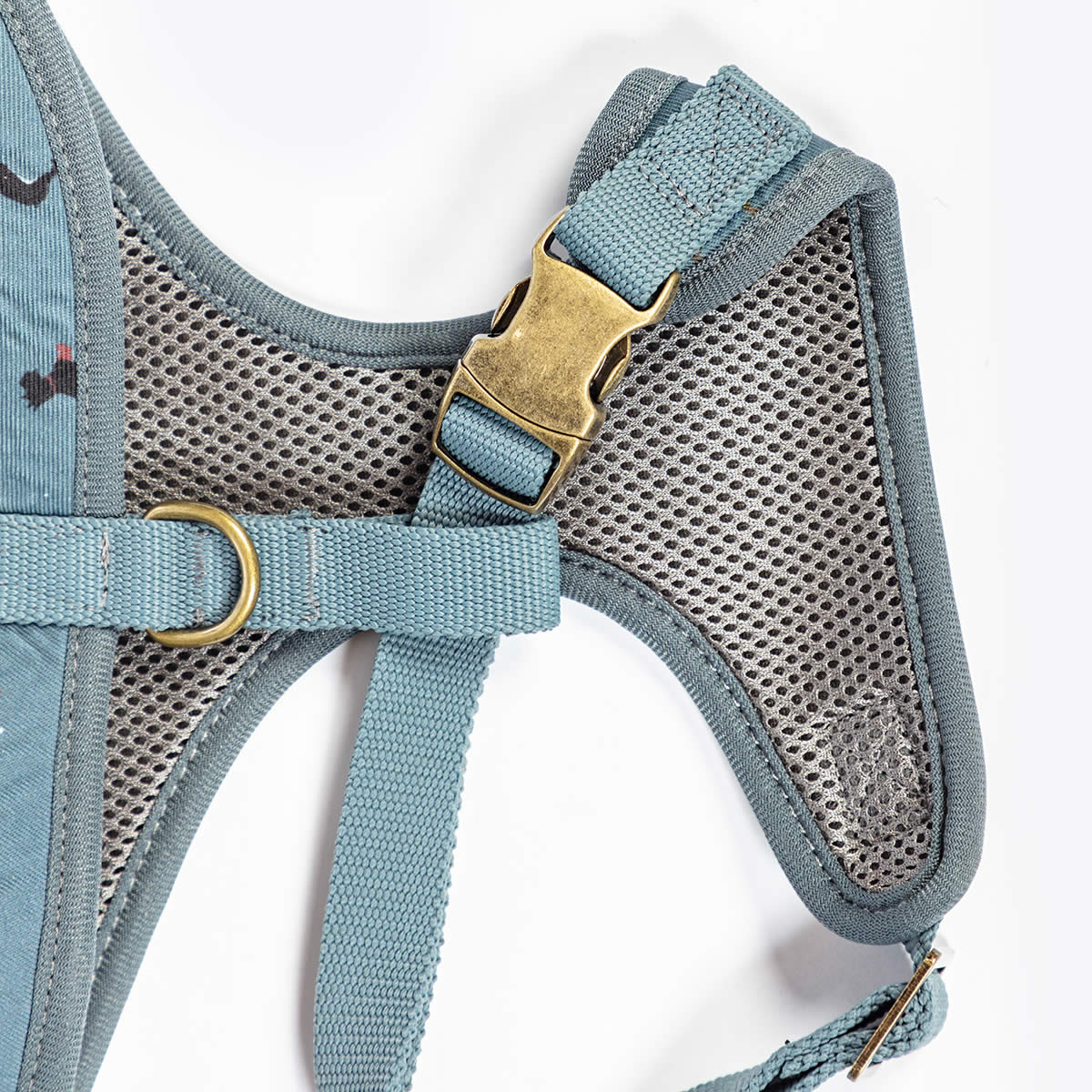 FatFace stylish dog harness