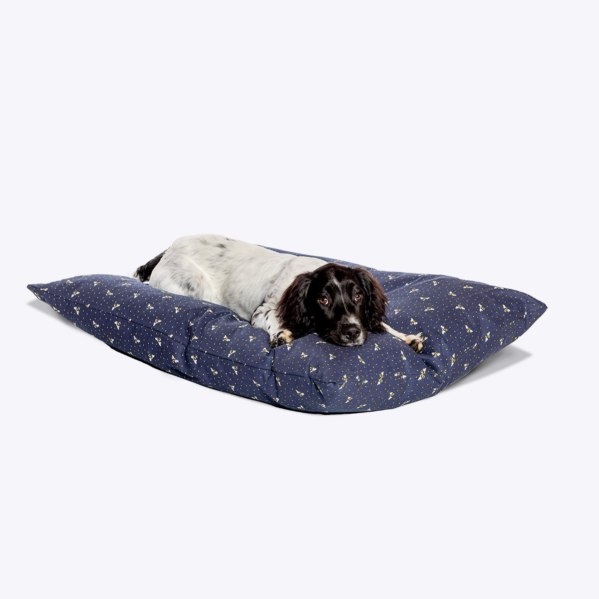 FatFace Spotty Bees Deep Duvet – Cosy Comfort for Your Dog