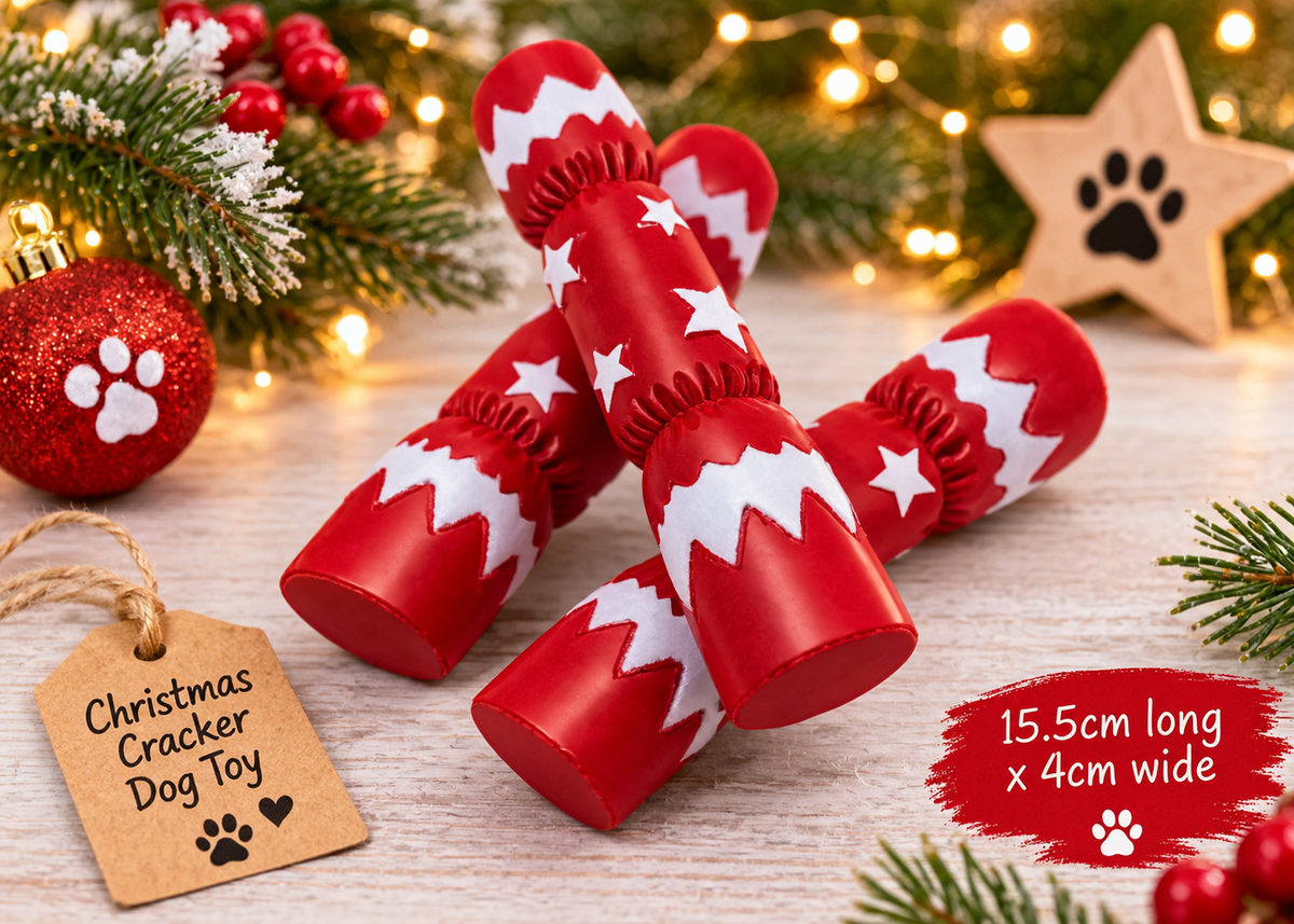 Red and white Christmas cracker squeaky dog toy with festive stars, perfect for a Christmas dog gift or stocking filler.