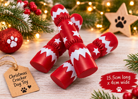 Red and white Christmas cracker squeaky dog toy with festive stars, perfect for a Christmas dog gift or stocking filler.