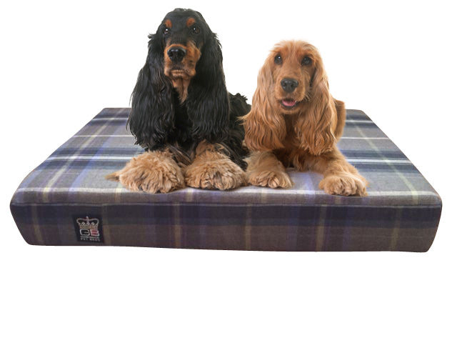 Memory foam slab dog bed Glen loch check fabric