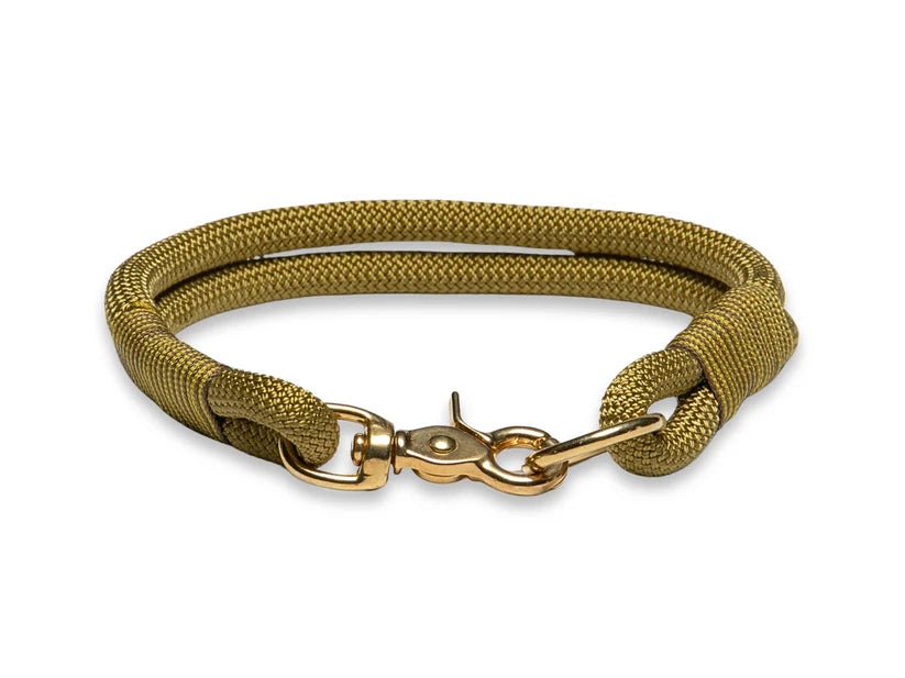 Golden treasure rope collar