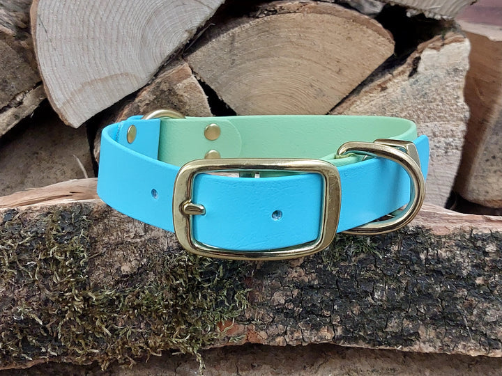 Waterproof Biothane Dog Collar Blue Green