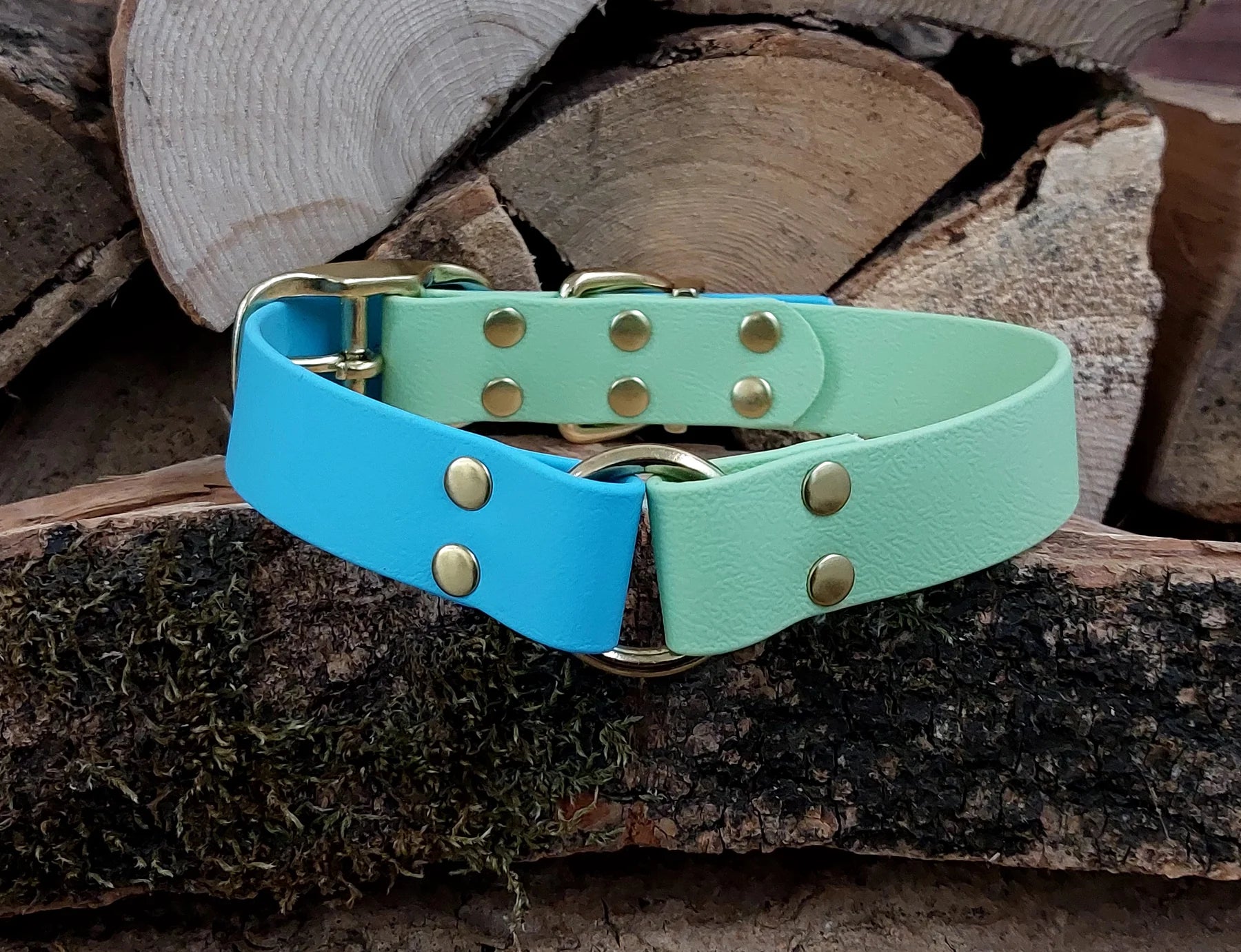 Waterproof Biothane Dog Collar Blue Green 