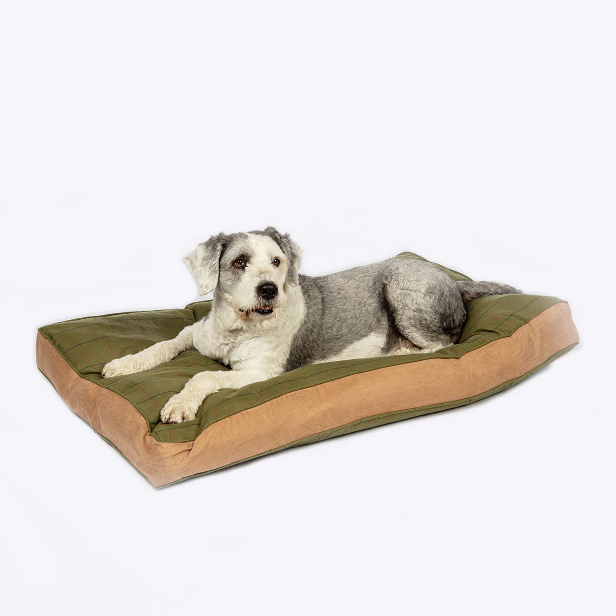 Tweed Box Duvet Dog Bed | Luxury Green Tweed & Faux Suede Dog Bed