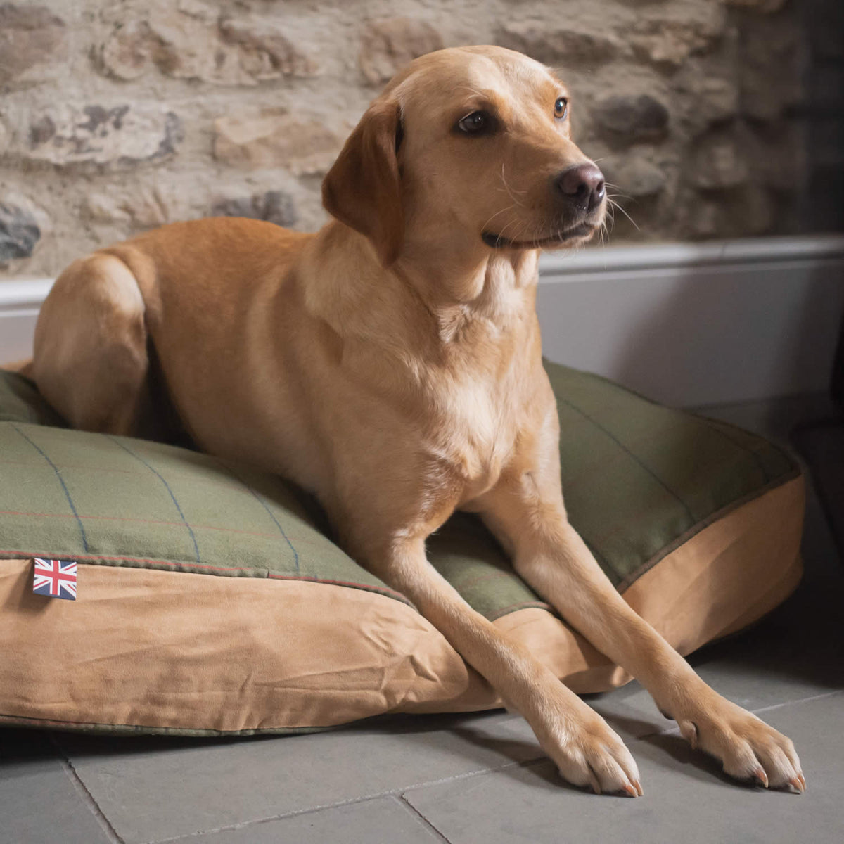 Green Tweed & Faux Suede Box Border Dog Bed