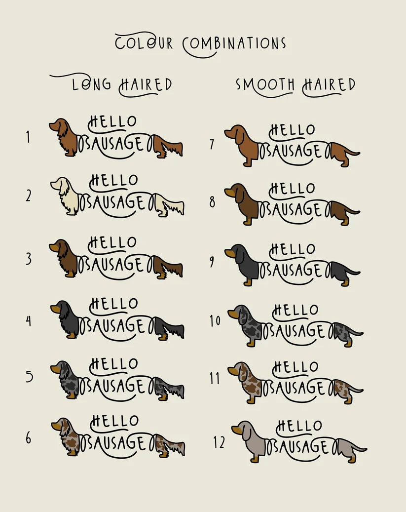 A color combination chart for dachshunds, showing 12 different dog illustrations labeled 'HELLO DACHSHUND' with rows for long-haired and smooth-haired options on a light beige background.