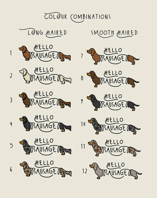 A color combination chart for dachshunds, showing 12 different dog illustrations labeled 'HELLO DACHSHUND' with rows for long-haired and smooth-haired options on a light beige background.