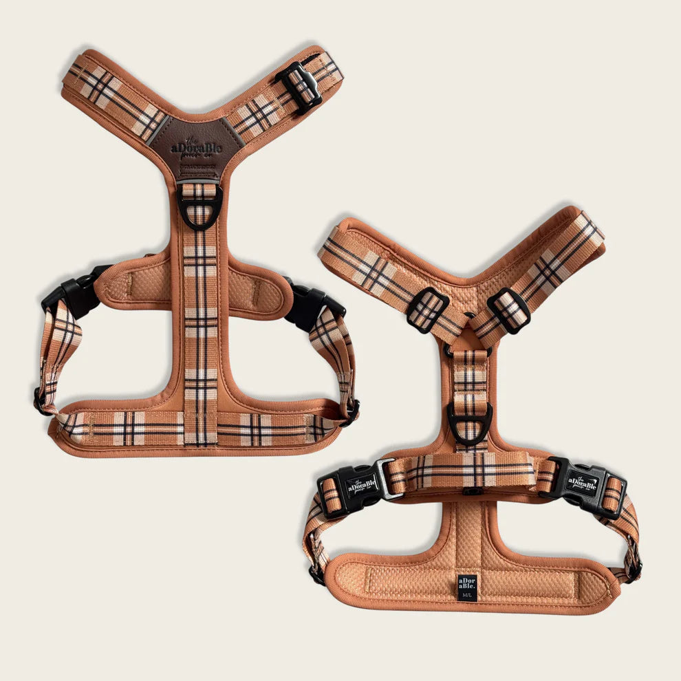 Heritage streamline pro butterscotch biscuit dog harness