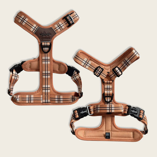 Heritage streamline pro butterscotch biscuit dog harness