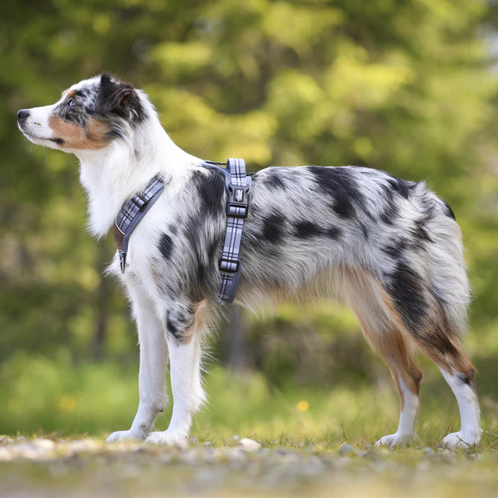 Heritage streamline pro gunsmoke grey harness real