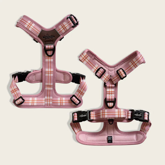 Heritage streamline pro strawberry cottage dog harness