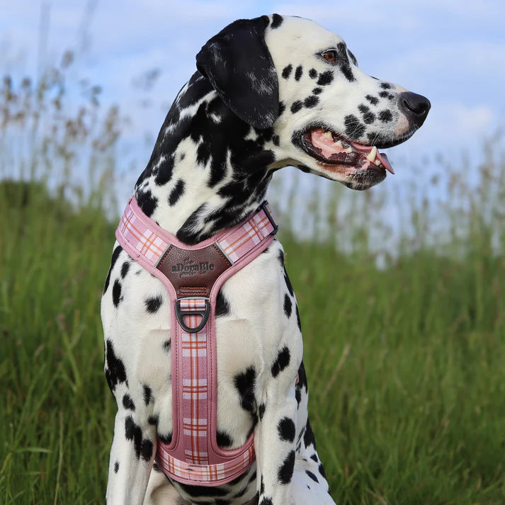 Heritage streamline pro strawberry cottage dog harness real