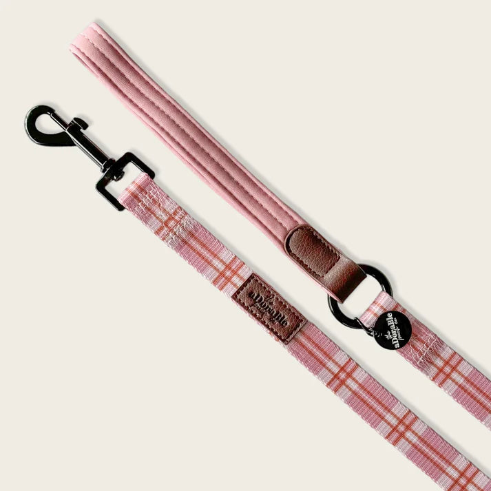 Heritage strawberry cottage dog lead