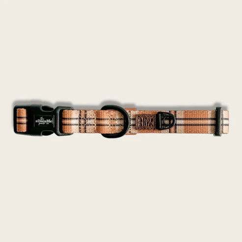 Heritage butterscotch biscuit dog collar