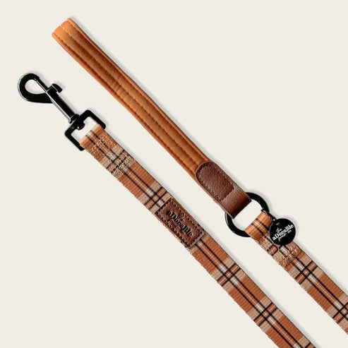 Heritage butterscotch biscuit dog lead