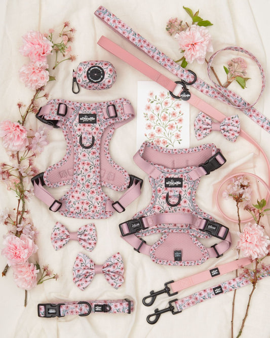 aDoraBle Pooch hike and go blushing blossoms collections
