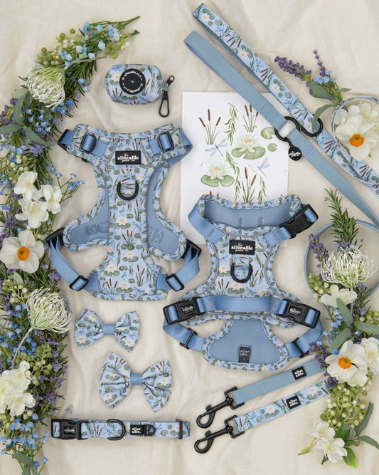 aDoraBle Pooch hike and go lite dog spring garden collection