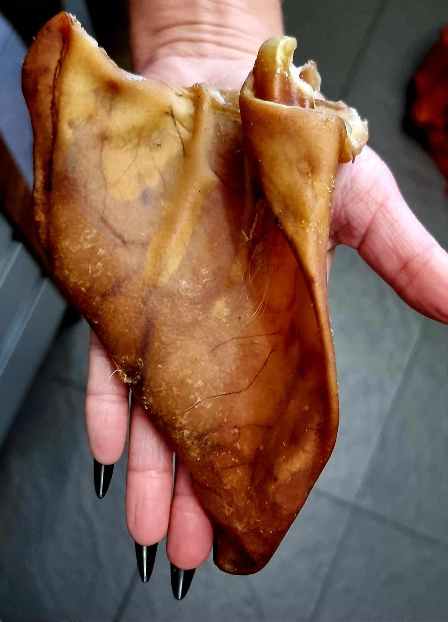 Extra Large Pig Ears Grade A