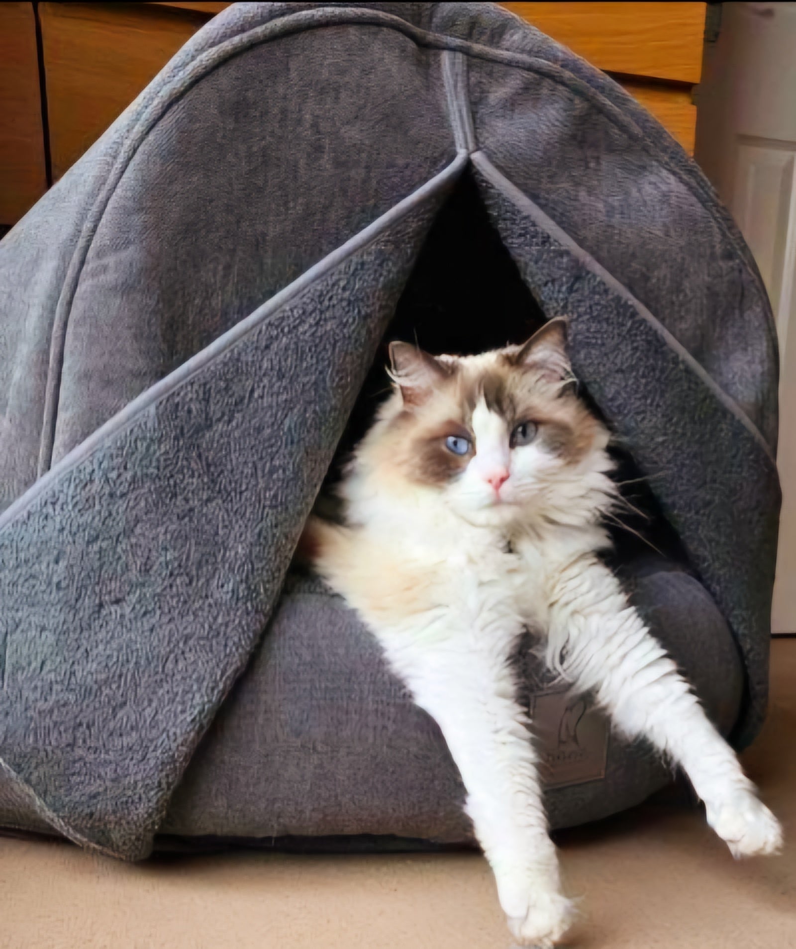 Cat cave bed