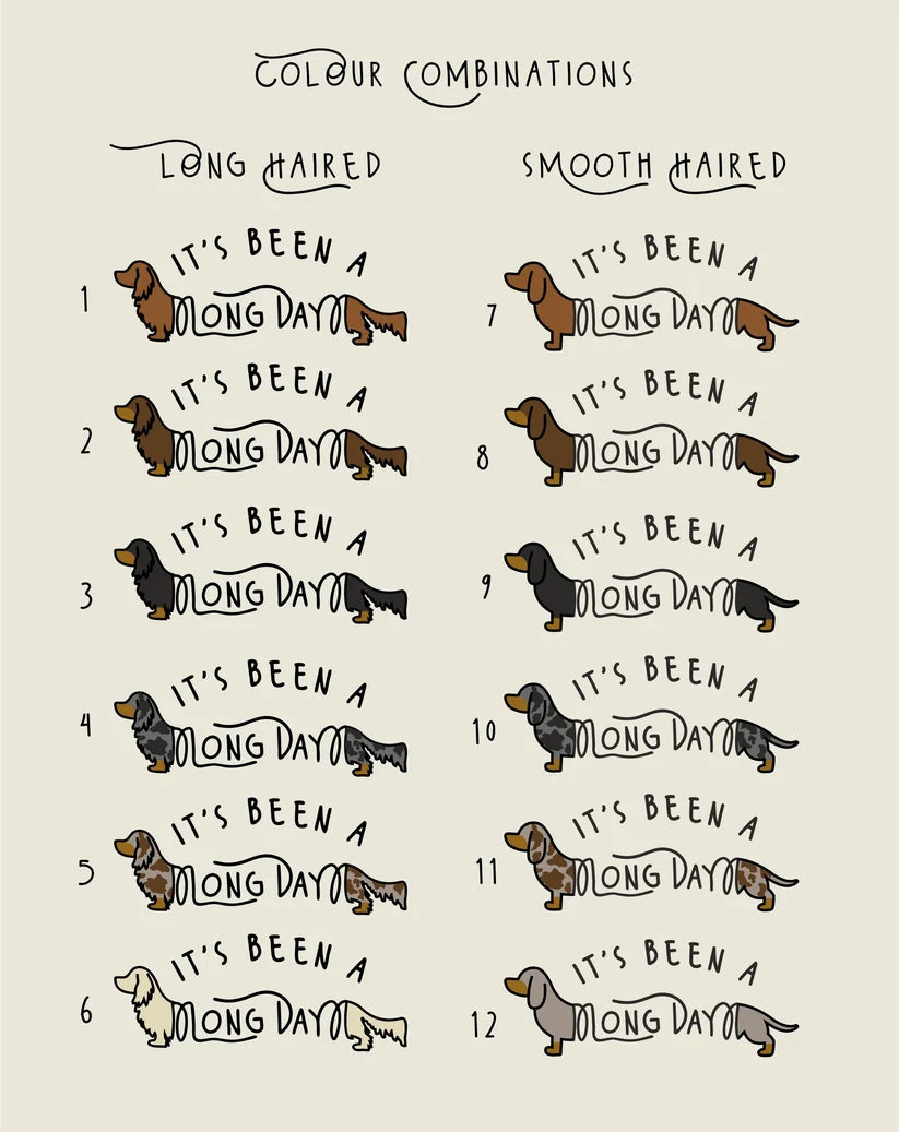 A color combination chart for long-haired and smooth-haired dachshunds, featuring 12 numbered dog illustrations in various coat colors on a light beige background with hand-lettered headings.