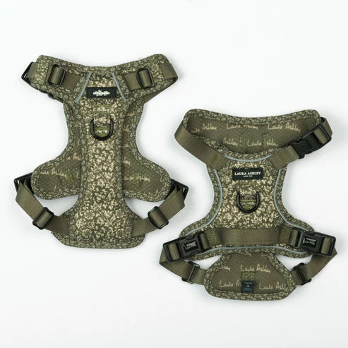 Laura Ashley Sweet Alyssum dog harness