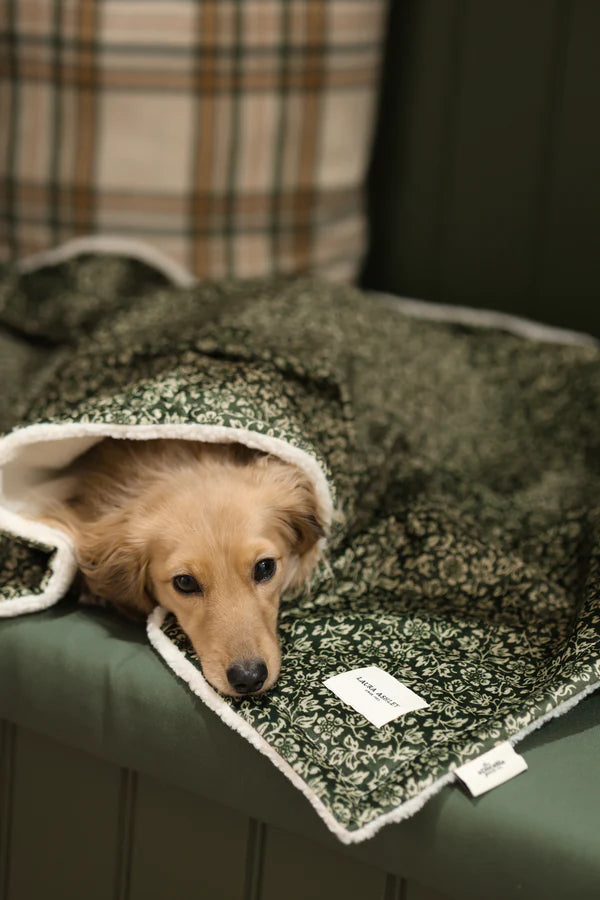 Laura Ashley sweet alyssum dog blanket