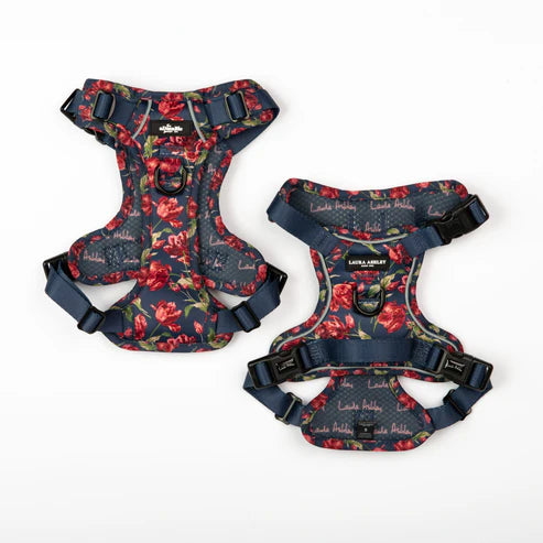 Laura Ashley gosford meadow dog harness