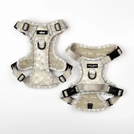 Laura Ashley magnolia grove dog harness