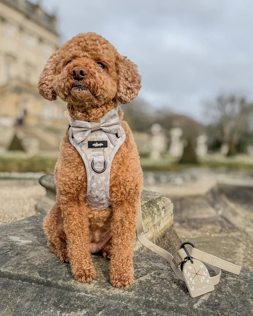 Laura Ashley magnolia grove dog harness real