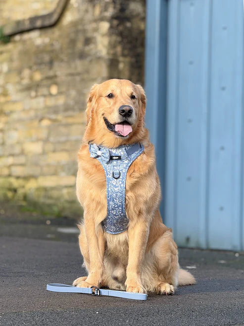 Laura Ashley Shepherds purse dog harness real