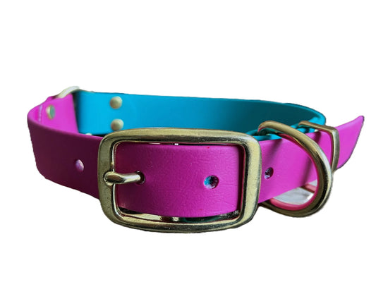 Magenta and Teal waterproof dog collar