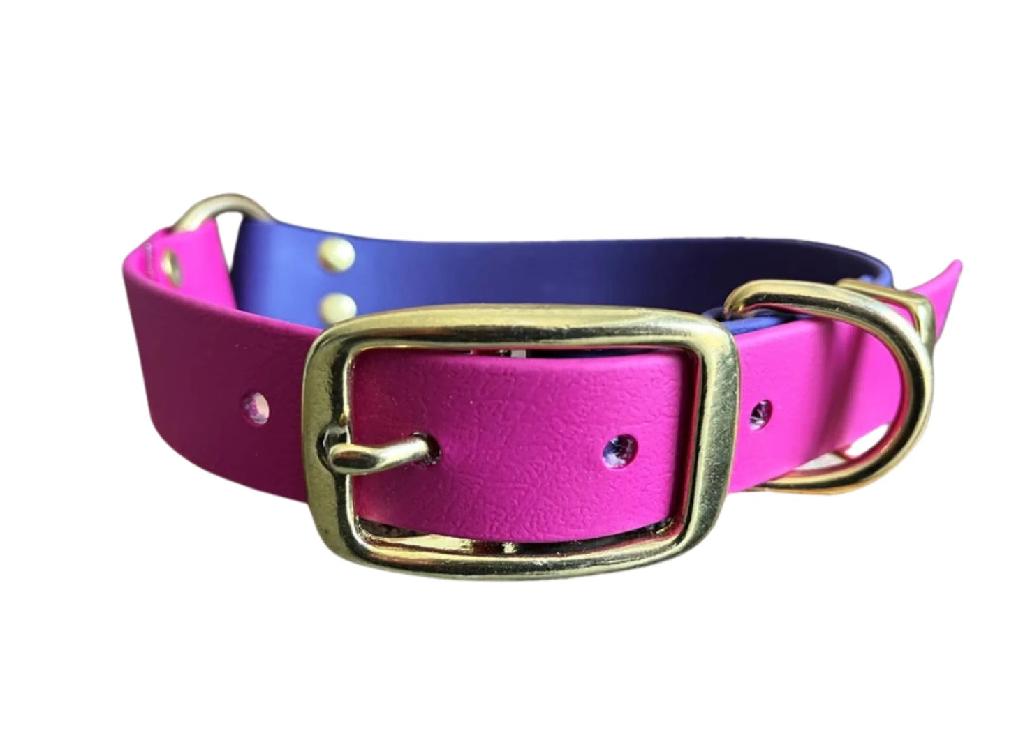 Magenta and Violet waterproof dog collar