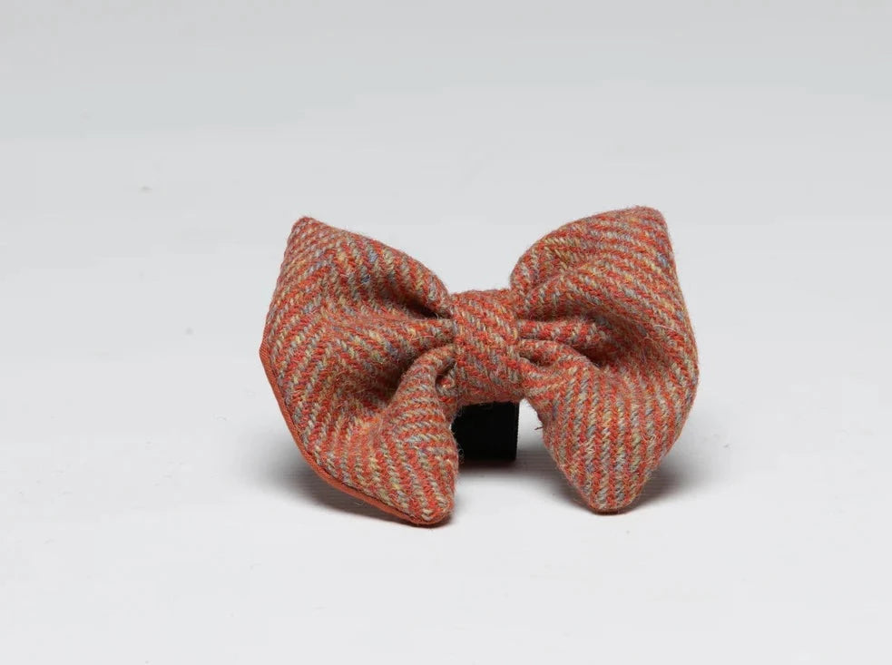 Harris tweed Dog Bow Tie Mandarin