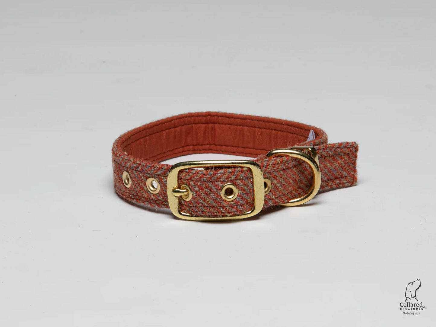 Harris Tweed gold buckle dog Collar mandarin herringbone