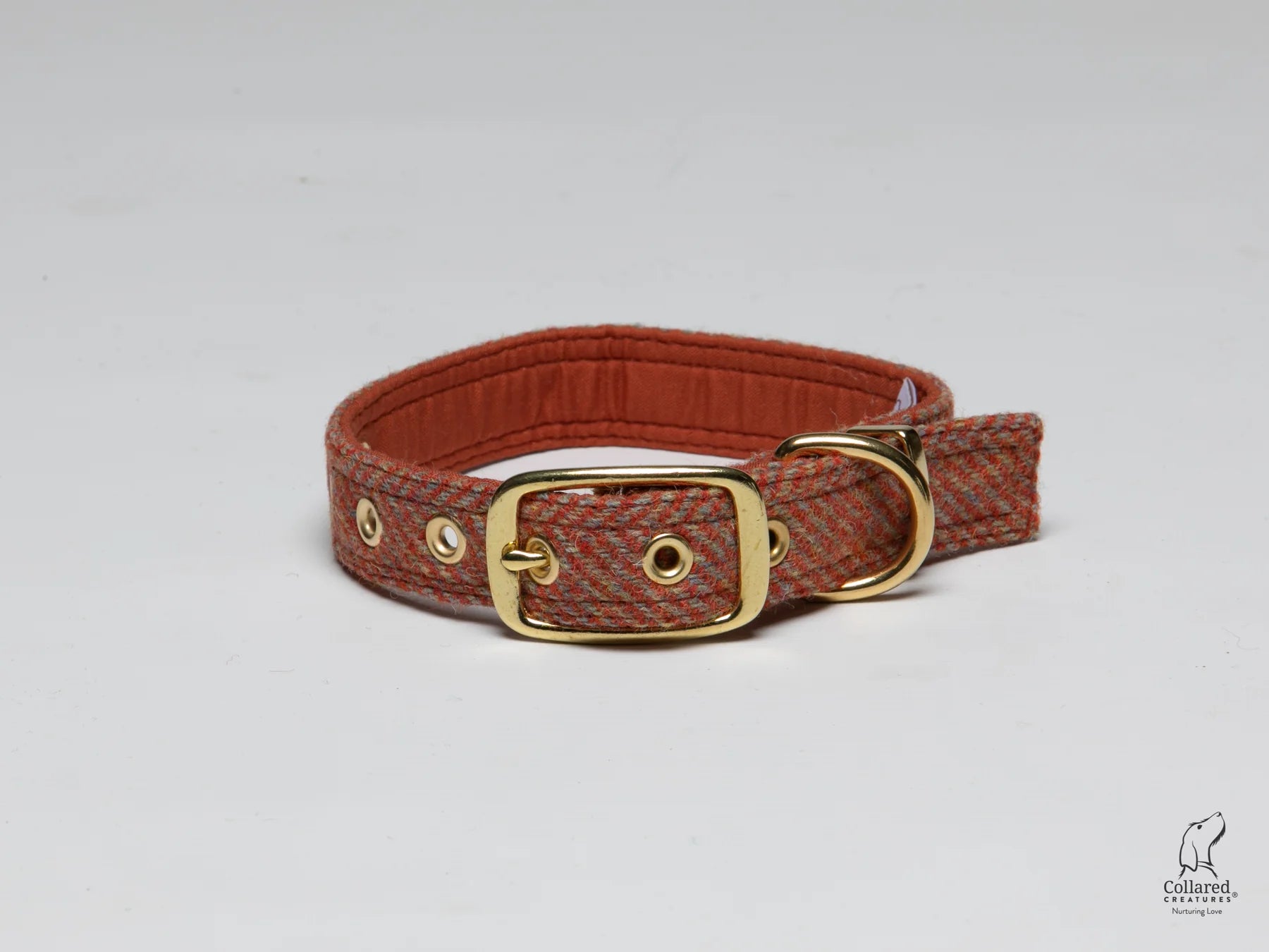 Harris Tweed gold buckle dog Collar mandarin herringbone