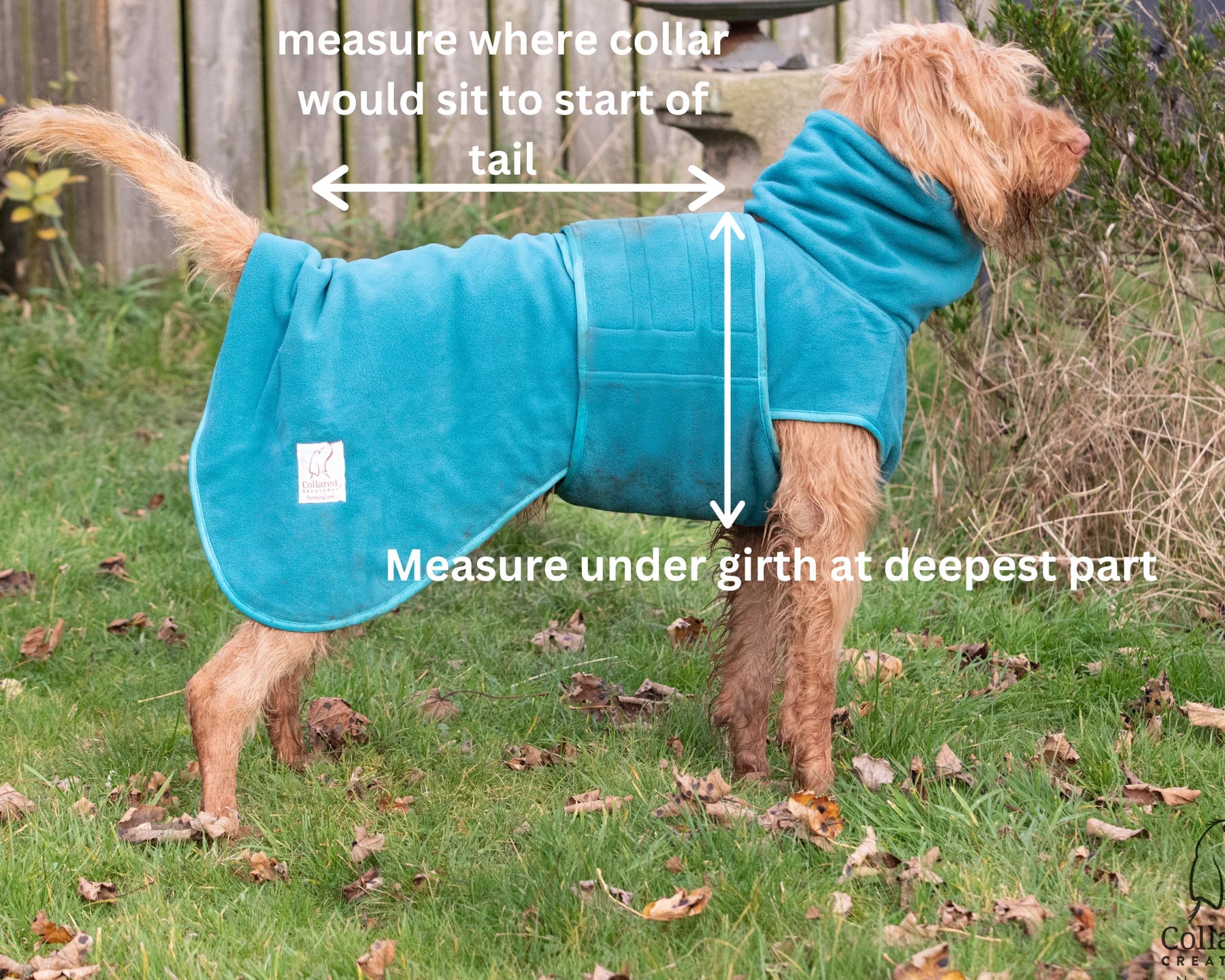 Drying coat measuring guide