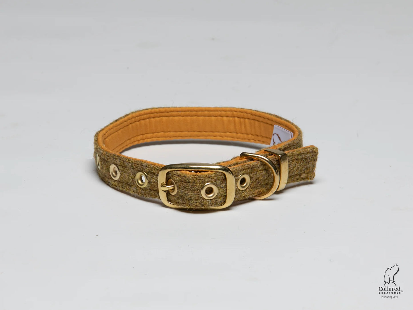 Harris Tweed brass buckle dog Collar mustard twill