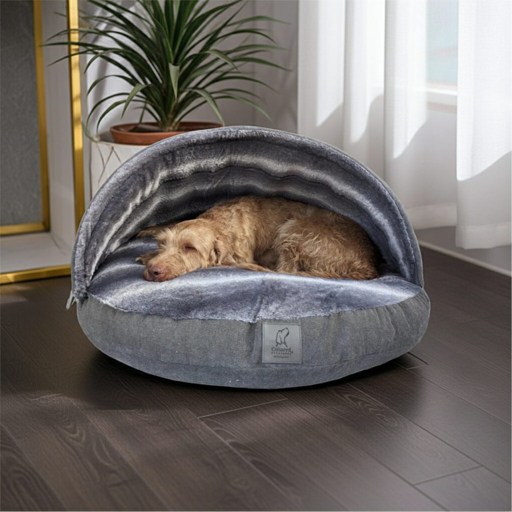 Dog Cave Bed with Removable Hood